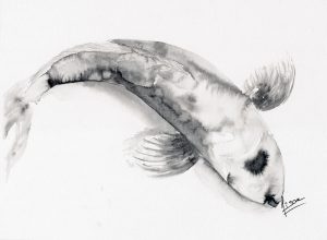 Dessin original à l'encre de Chine représentant une carpe koi ©Ysae illustrations