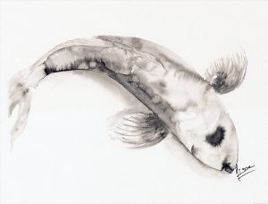 Impression laser d'un dessin original à l'encre de Chine représentant une carpe koi ©Ysae illustrations