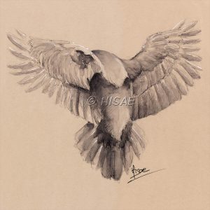 Dessin original à l'encre de Chine et crayon blanc représentant une corneille de dos en train de s'envoler ©Ysae illustrations