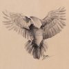 Impression laser d'un dessin à l'encre de Chine et crayon blanc représentant une corneille de dos en train de s'envoler ©Ysae illustrations