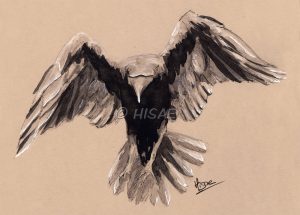Dessin original à l'encre de Chine et crayon blanc représentant un corbeau de dos en train de s'envoler ©Ysae illustrations