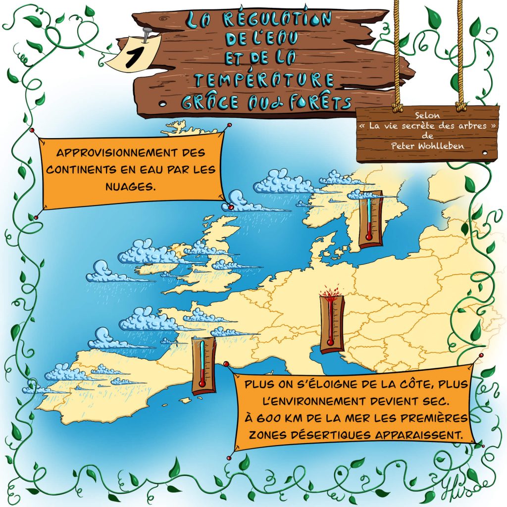 Facilitation graphique numérique représentant une carte d'Europe avec les nuages de pluies qui s'estompent au fur et à mesure qu'on s'enfonce dans les terres ©Ysae illustrations