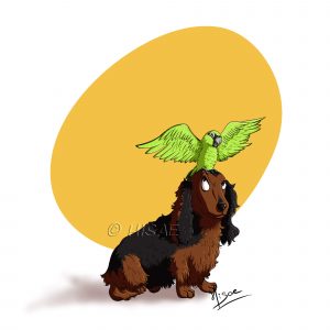 Dessin numérique représentant un perroquet posé sur la tête d'un chien ©Ysae illustrations