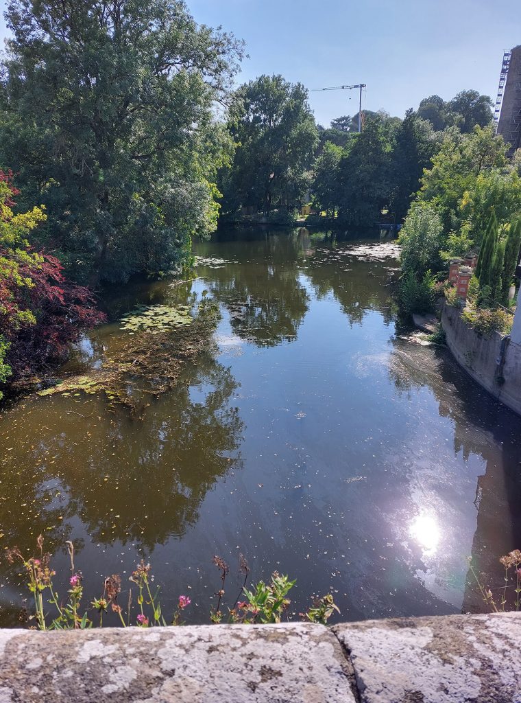 Photographie de la rivière la Sèvre depuis le pont de Clisson ©Ysae illustrations