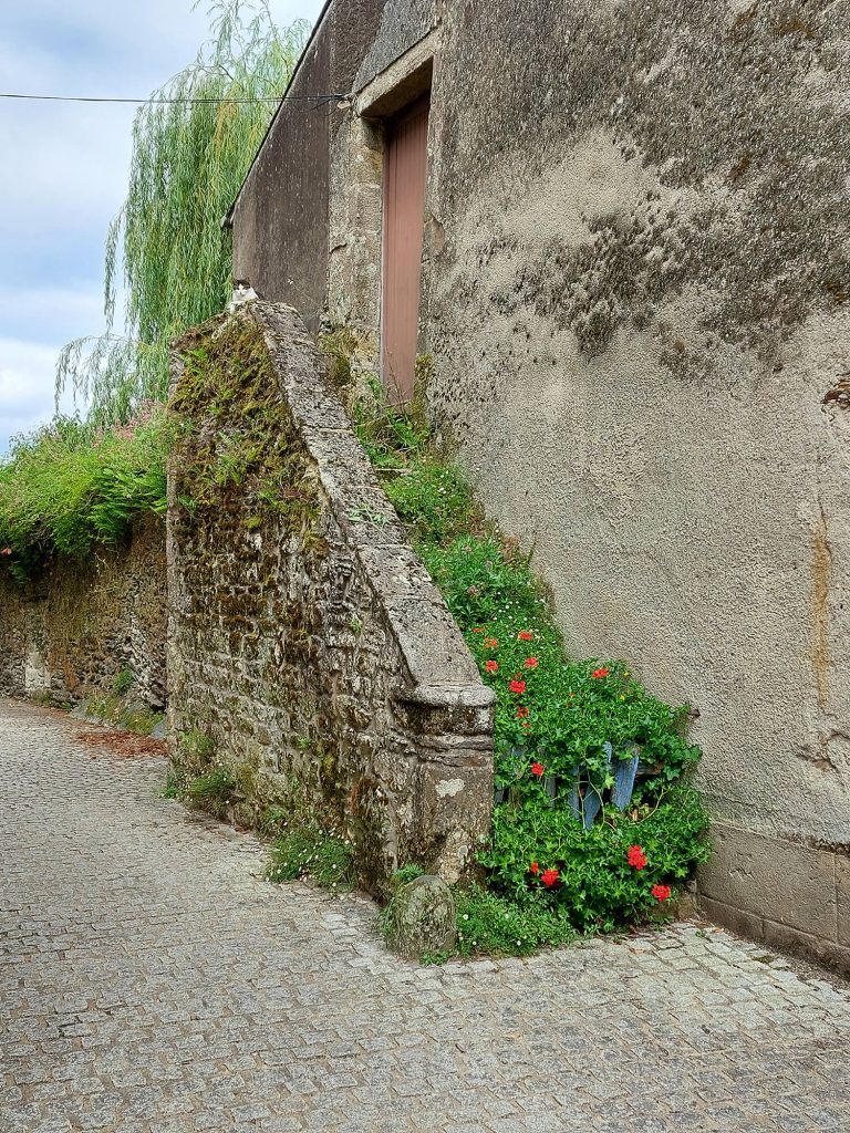 Photographie d'un chat couché en haut d'un escalier en pierre couvert de fleurs à Rochefort-en-Terre ©Ysae illustrations
