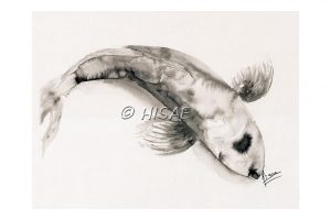 Impression laser format carte postale d'un dessin original à l'encre de Chine représentant une carpe koi ©Ysae illustrations