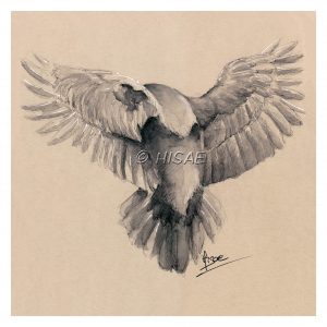 Impression laser format carte postale d'un dessin à l'encre de Chine et crayon blanc représentant une corneille de dos en train de s'envoler ©Ysae illustrations