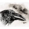 Impression laser format carte postale d'un dessin original à l'encre de Chine représentant une tête de corbeau de profil ©Ysae illustrations