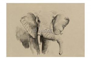 Impression laser format carte postale d'une dessin original à l'encre de Chine sur un chevalet représentant un éléphant d'Afrique ©Ysae illustrations