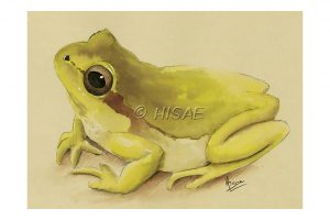 Impression laser format carte postale d'un dessin original à l'encre verte sur chevalet représentant une grenouille @Ysae illustrations