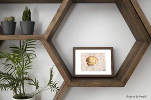 Décoration d'intérieur avec un cadre dans lequel se trouve une encre représentant une coquille d'escargot.