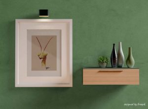 Décoration d'intérieur avec un cadre dans lequel se trouve une encre représentant une mante religieuse
