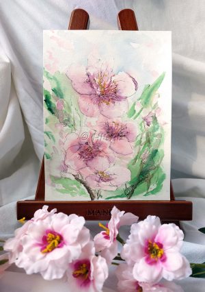 Aquarelle originale, présentée sur chevalet, représentant des fleurs de cerisiers japonais @Ysae illustrations