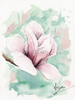 Aquarelle originale représentant une fleur de cerisier japonais @Ysae illustrations