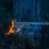 Photographie d'un feu qui brûle au bord d'une forêt, près d'une rivière