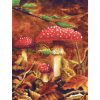 Impression laser format carte postale d'une acrylique originale représentant des champignons dans des feuilles mortes ©Ysae illustrations