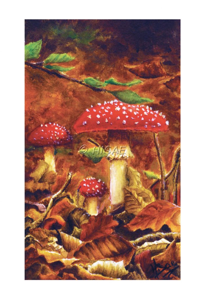 Impression laser format carte postale d'une acrylique originale représentant des champignons dans des feuilles mortes ©Ysae illustrations