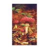 Impression laser d'une acrylique originale représentant des champignons dans des feuilles mortes ©Ysae illustrations
