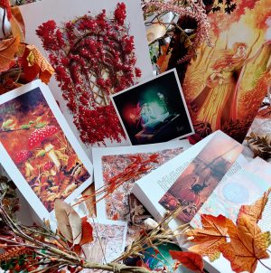 Photographie des dessins d'automne de la boutique @ Ysae illustrations