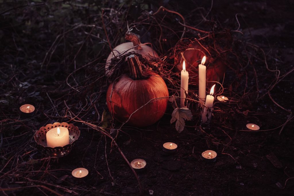Photographie de citrouilles parmi des branchages et éclairées par des bougies