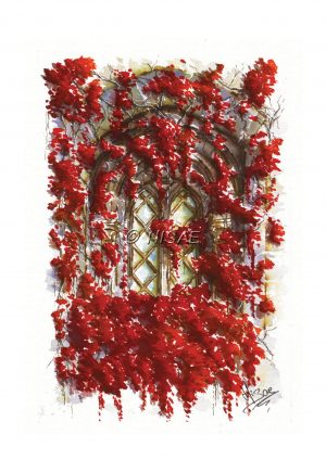 Impression laser en format carte postale d'une encre et aquarelle originale représentant une fenêtre médiévale cachée derrière des amas de feuilles rouges ©Ysae illustrations