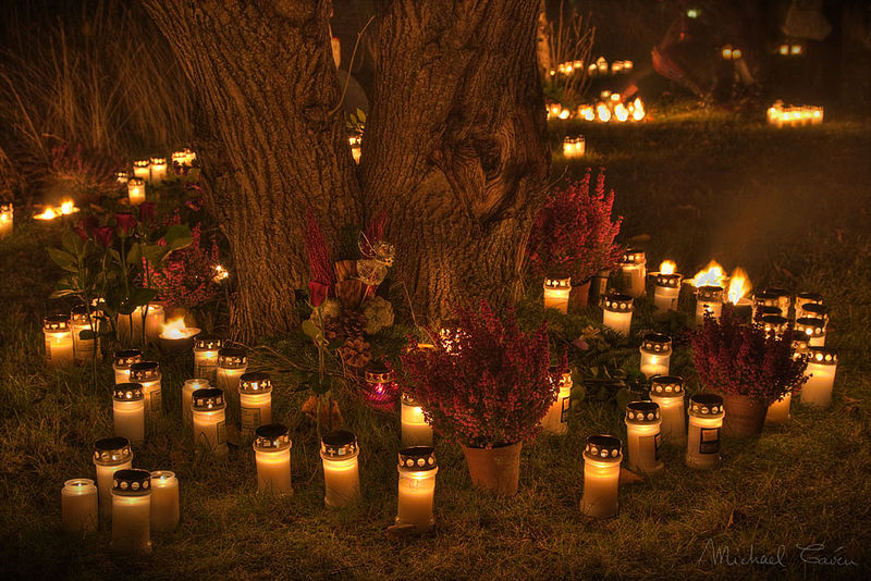 Bougie autour d'un arbre pour Alla Helgona ou Halloween à Skogskyrkogården @Michael Caven from Stockholm