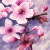 Dessin à l'aquarelle représentant une branche de cerisier japonais et ses fleurs en format carte postale @Ysae illustrations