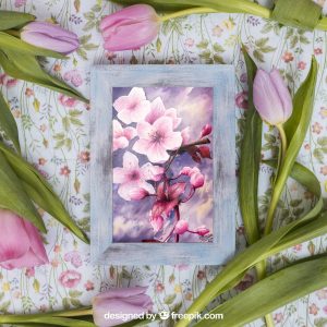 Dessin à l'aquarelle représentant une branche de cerisier japonais et ses fleurs format carte postale et présenté dans un cadre accompagné de fleurs @Ysae illustrations