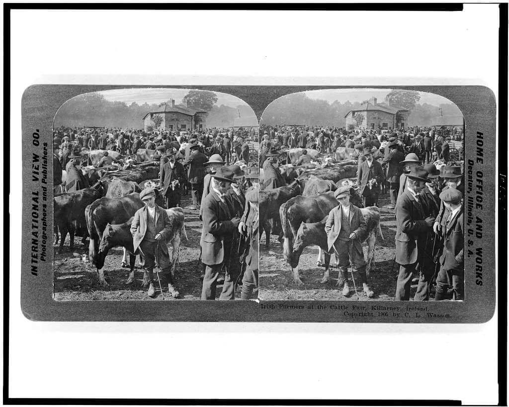 Fermiers à la foire aux bovins de Killarney (Irlande) @ C.L. Wasson