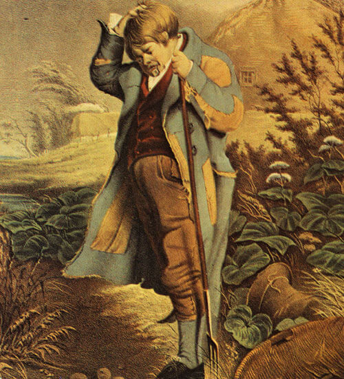 Carte postale représentant un Irlandais touché par la pauvreté et récoltant quelques pommes de terre @Collection de Maggie Land Blanck