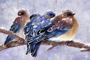 Dessin format carte de vœux réalisé à l'aquarelle représentant trois oiseaux, des merles bleus, sur une branche alors que la neige tombe @Ysae illustrations