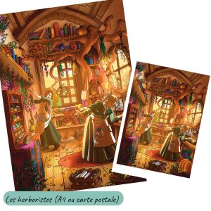 Dessin numérique imprimé et sa version carte postale représentant deux herboristes en plein travail dans leur atelier chargé de livres et baigné dans une belle lumière de fin du jour @Ysae illustrations