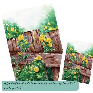 Impression d'un dessin original réalisé à l'encre et à l'aquarelle format A4 et carte postale représentant des roses jaunes grimpant le long d'une barrière en bois @Ysae illustration