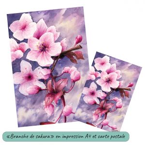 Dessin à l'aquarelle format A4 et carte postale représentant une branche de cerisier japonais et ses fleurs @Ysae illustrations