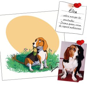 Portrait personnalisé d'un basset artésien normand qui tient dans sa gueule une pantoufle en mauvais état. La photo de l'animal est visible à côté @Ysae illustrations
