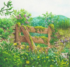 Dessin original à la gouache représentant la vieille barrière en bois d'un chemin abandonné perdu sous la végétation @Ysae illustrations