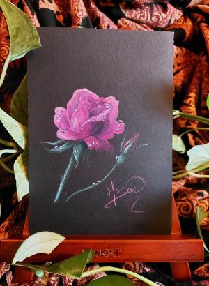 Dessin original à la gouache avec des rehauts de crayons de couleur et présenté sur un chevalet représentant une rose dont les pétales sont parsemées de gouttelettes de la rosée du matin @Ysae illustrations