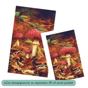 Impression d'une acrylique originale et sa version carte postale représentant des champignons dans des feuilles mortes ©Ysae illustrations