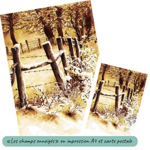 Impression format carte postale et A4 d'une encre originale représentant une barrière de piquets et de barbelé délimitant des champs enneigés dans un camaïeu ocre jaune et sépia ©Ysae illustrations