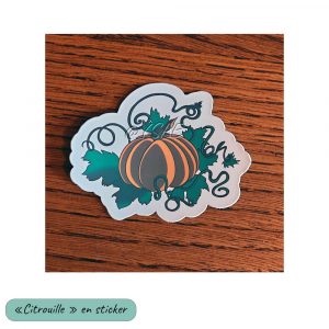 Sticker représentant une citrouille @Ysae illustrations